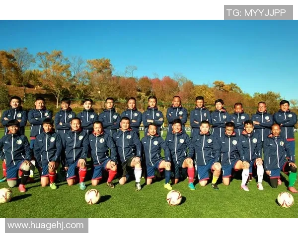 足球500:探索全球足球文化与赛事盛况的深度解析与展望